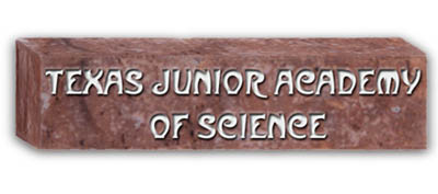 3dbrick2tjas.jpg (19576 bytes)